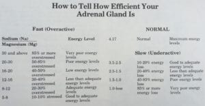 adrenal gland efficiency adrenal-gland-efficiency