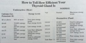 thyroid gland efficiency thyroid-gland-efficiency