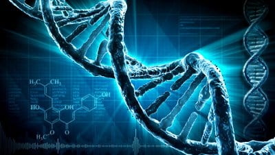 How to reprogram your DNA for optimum health