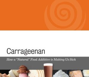 carrageenan in foods