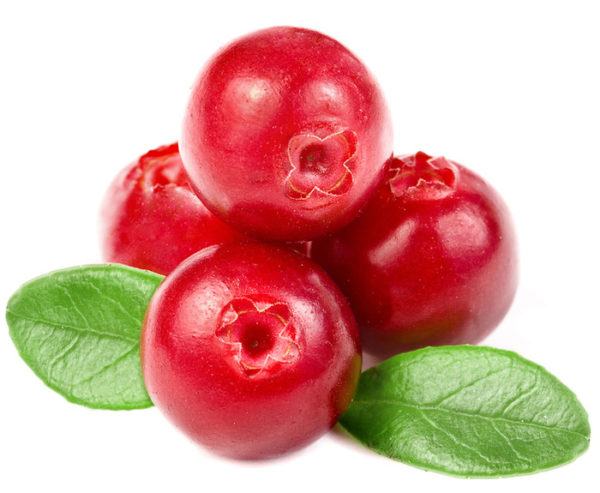 Cranberries: The holiday healthy superfood