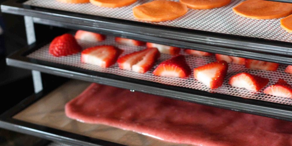 Prepping: Ten ways to use your dehydrator