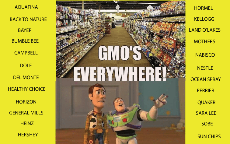 How GMOs quietly became a staple in our society by the corporate food industry