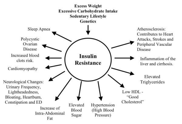 The insulin resistance diet protocol