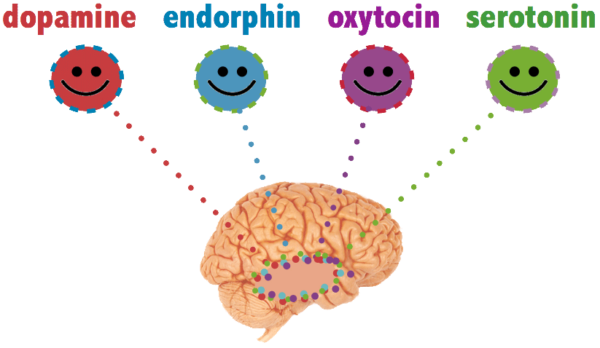 What are endorphins?