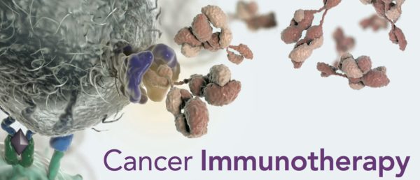 Immunotherapy for Cancer —  Far More Dangerous Than Advertised (videos)