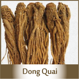 dong quai spagyric