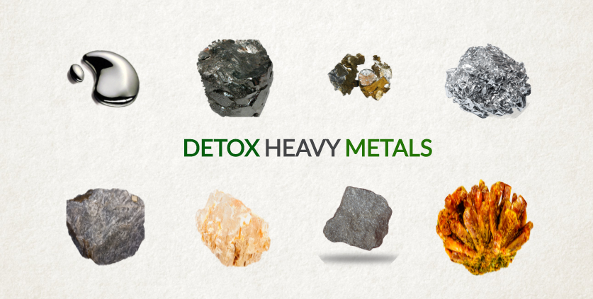detox heavy metals