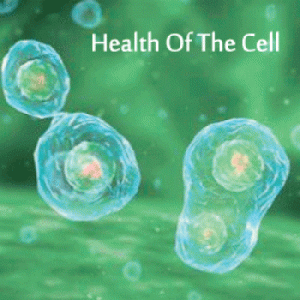 Health of the cell 1 Health-of-the-cell