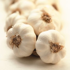 garlic 310 0 Conditions