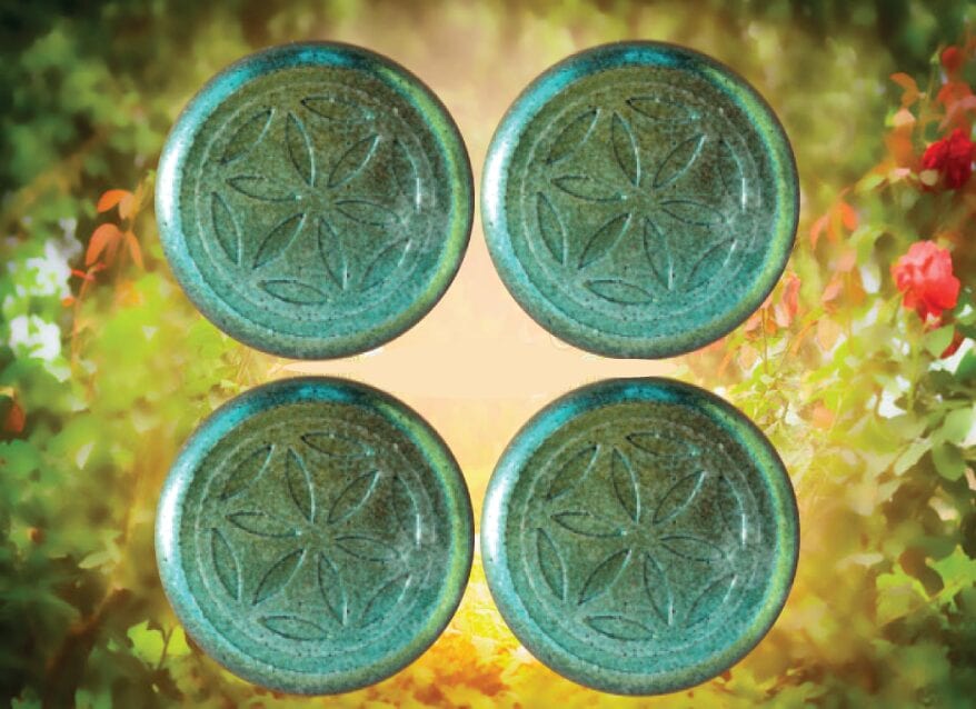 4 garden pucks bg Holistic Health Store