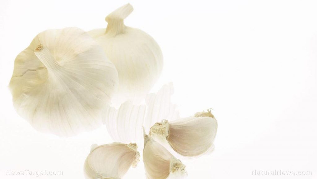 White Garlic Vegetable Food 1563471886096 Garlic found to remove lead from the body better than a common chelator drug