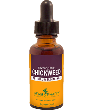 chickweed 1 oz Olive Spagyric Tincture