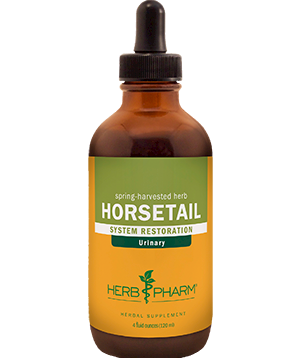 horsetail4 Olive Spagyric Tincture
