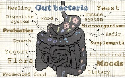 Restore Gut Health: Fix Diarrhea, Constipation, and Bloating