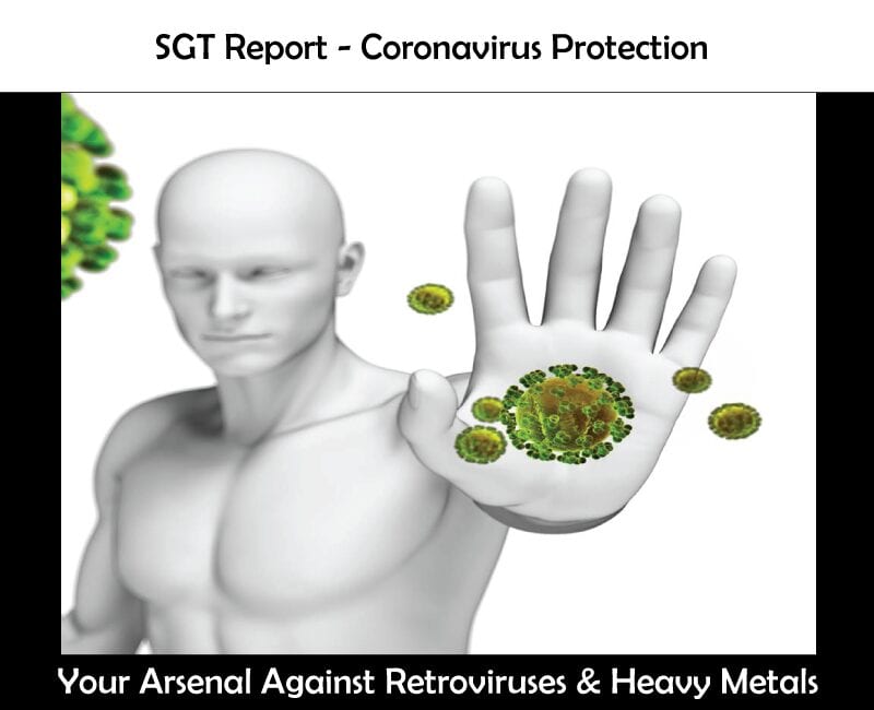 coronavirus SGT Report Covid 19 Corona Virus & Free Energy Quest
