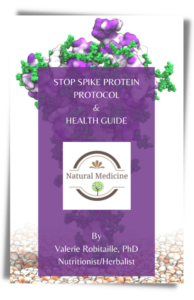 STOP SPIKE PROTEIN PROTOCOL 1 Holistic Health Store
