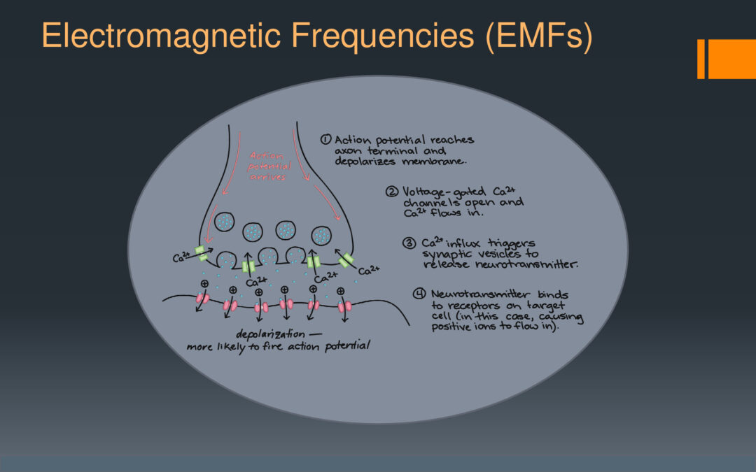 Reduce Your EMF Exposure – Martin Pall, PhD & Dr. Joseph Mercola
