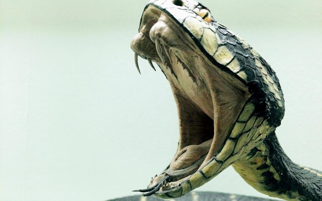 Covid Snake Venom Documentation: “Watch The Water” Documentary FULL