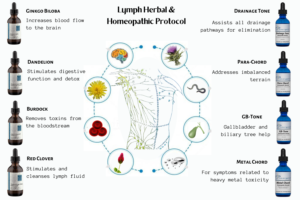 Ginkgo Biloba 1 Lymph Herbal & Homeopathic Protocol