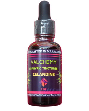 Celandine Horsetail Extract 1oz/4oz