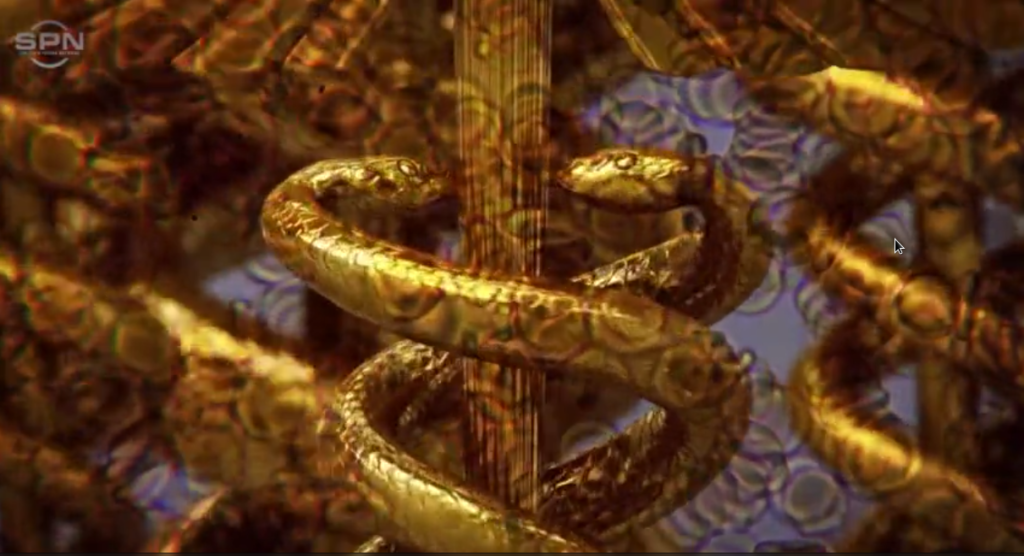 caduceus snakes PREMIERE: Watch The Water 2: Closing Chapter