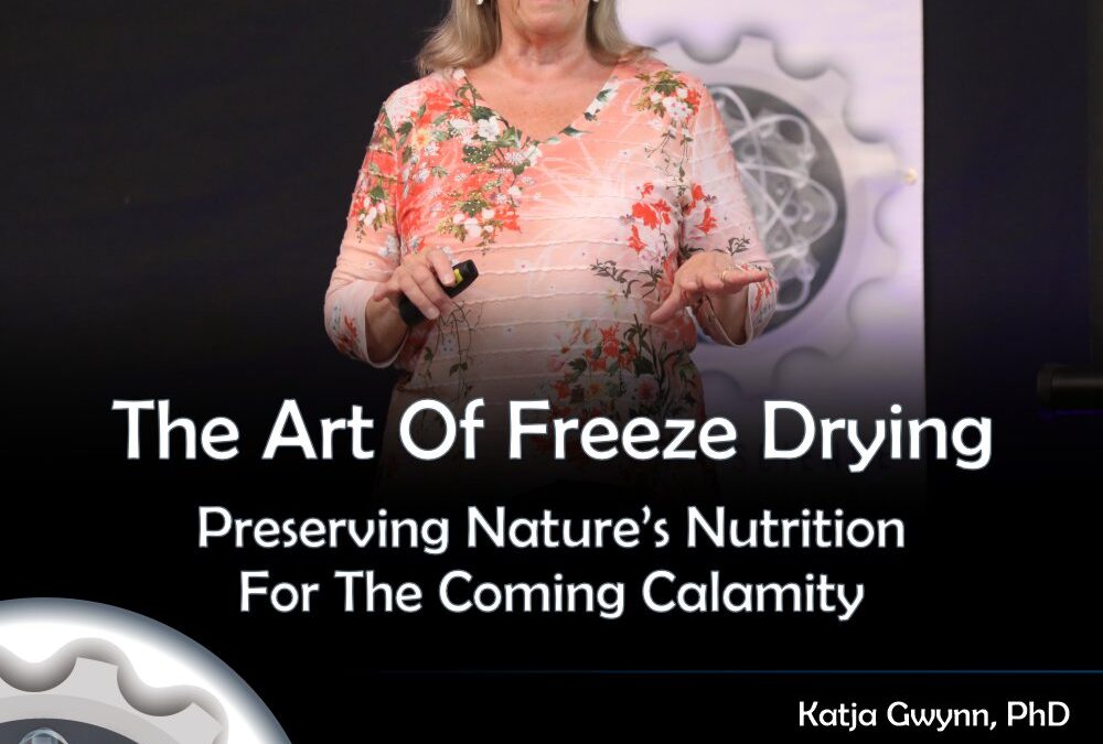 The Art of Freeze Drying – 2023 Energy Conference FREE DOWNLOAD
